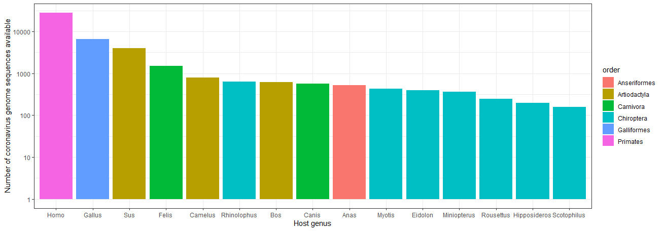 Barplot showing the most frequent animal host genera of coronaviruses are Homo, Gallus, Sus and Felis